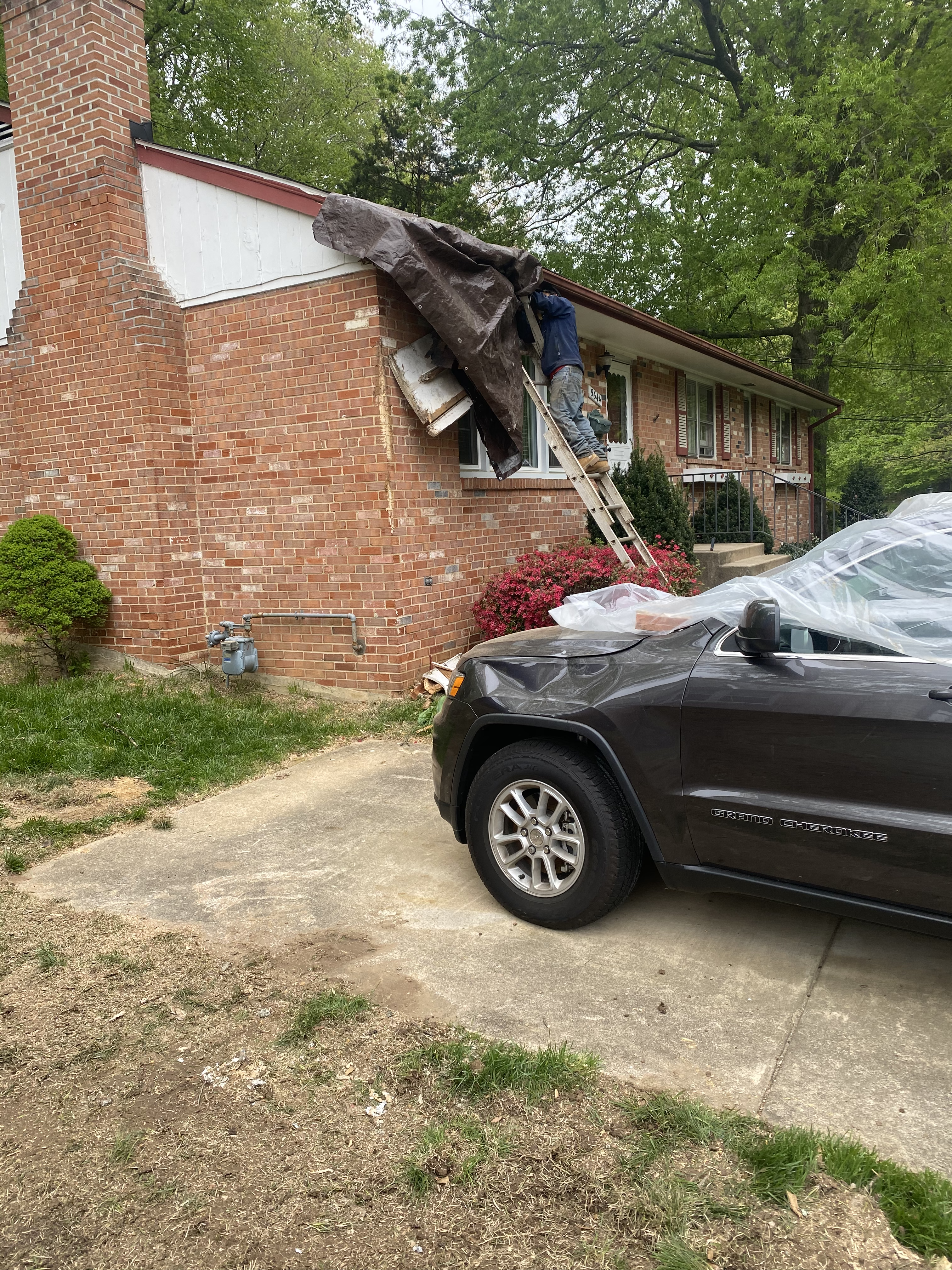 Clean yard after Timber Pros completed tree removal